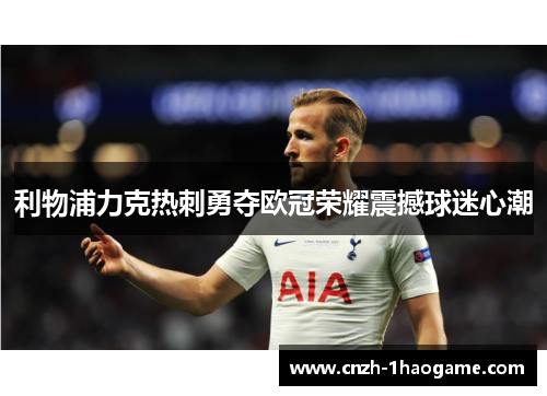 利物浦力克热刺勇夺欧冠荣耀震撼球迷心潮